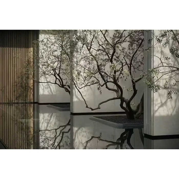 鉢植えのオリーブの木